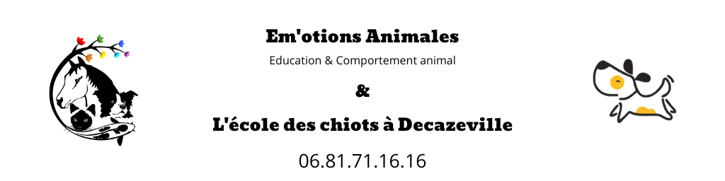 Em otions Animales